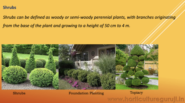 Landscape Use of Tree, Shrubs, Climbers and Annuals PPT - Image 3